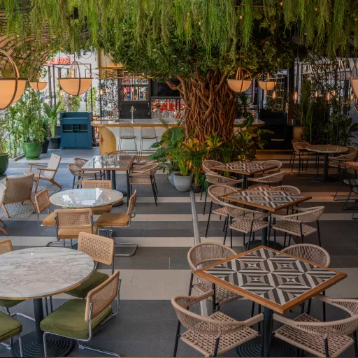 restaurant ambience with a tree restaurant ambience with a tree
